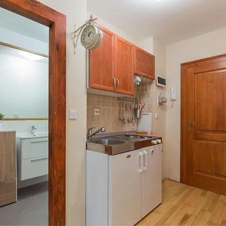Apartment Studio Carera 26